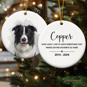 Pet Loss Custom Photo - Personalized Photo Ornament